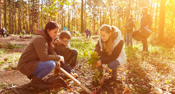 Kinder und Erwachsene helfen bei einer Baumpflanzaktion in einem Wald.